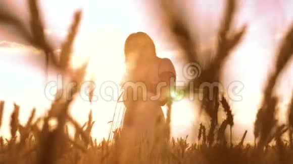 少女晚正站在麦田里自然慢动作视频穿着白色裙子的漂亮女孩手忙脚乱视频的预览图