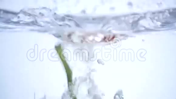 新鲜的大番茄掉在水里会产生气泡视频的预览图