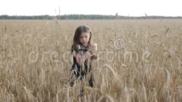麦田里的一个小女孩在吃饭视频的预览图