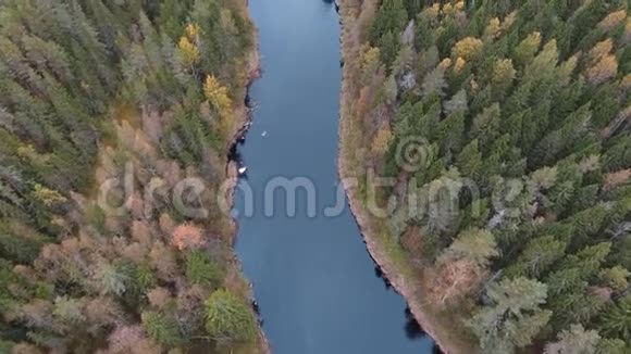 秋天的森林在河上飞翔的鸟瞰图视频的预览图