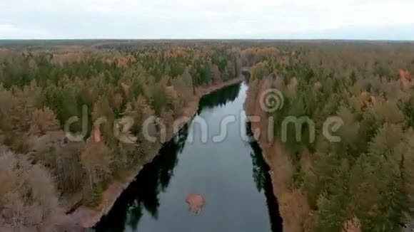 秋天的森林在河上飞翔的鸟瞰图视频的预览图