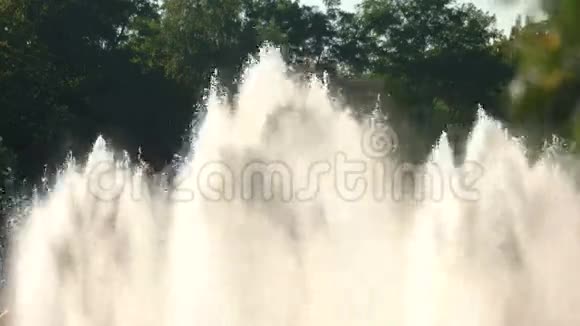 树木背景上的喷泉视频的预览图