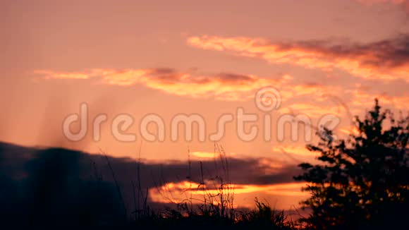 在美丽的夕阳下孤独地站在田野上的女人的剪影视频的预览图