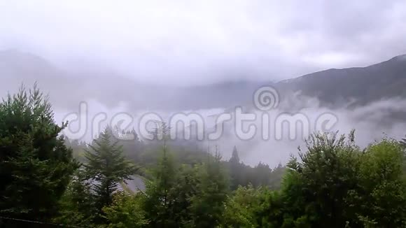 雾在山上米苏明视频的预览图
