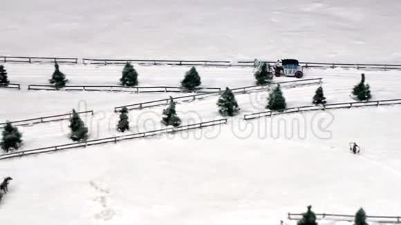 雪道上的马拉雪橇视频的预览图
