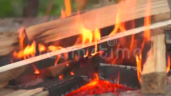 燃烧的木头视频的预览图