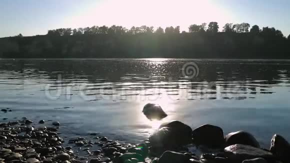 在宽阔的浅水河中快速流动透过水在底部的一块石头上观看阳光照射水视频的预览图