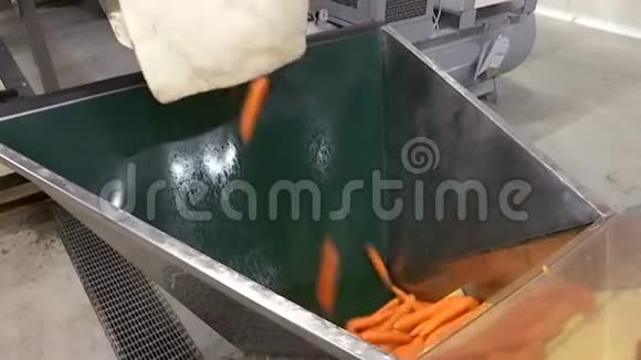 胡萝卜加工机视频的预览图