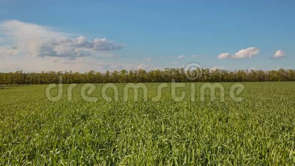 云在春天的快速移动越过麦田在无尽的草原上的唐视频的预览图
