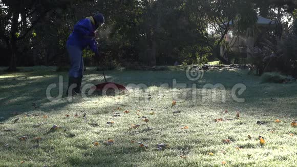 在寒冷的秋日清晨人们在美丽的花园里耙叶4K视频的预览图