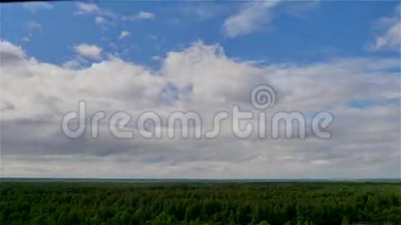 蓝天白云在夏日绿林中的空中时光流逝视频的预览图