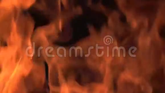 篝火篝火博茨瓦纳的营地视频的预览图
