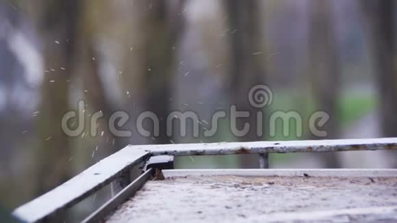窗台上的雨滴缓慢运动视频的预览图
