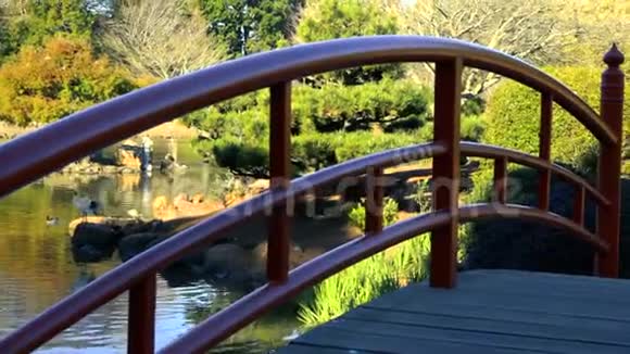 日本在Toowoomba的花园视频的预览图