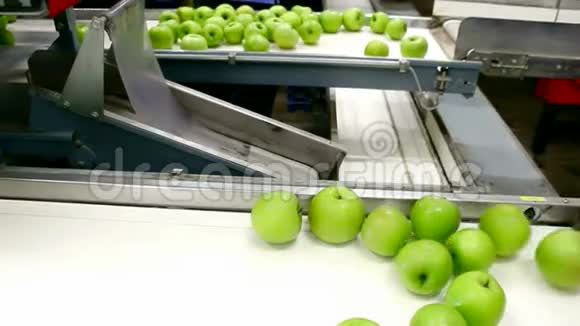 苹果在包装厂视频的预览图