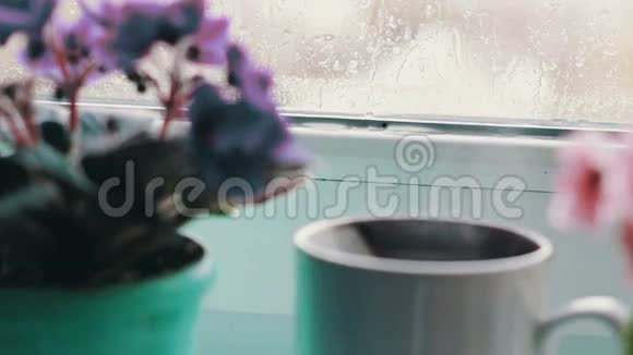 一杯热饮料蒸汽站在窗台上四周开花近景视频的预览图