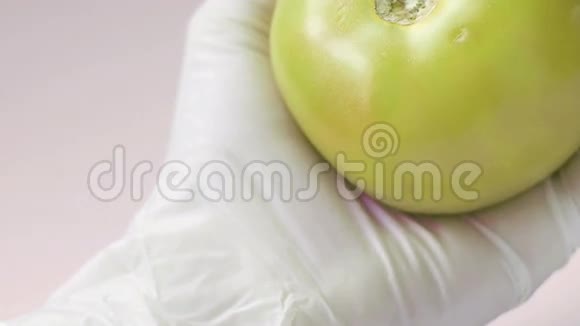 手套用手注射番茄中的转基因生物视频的预览图