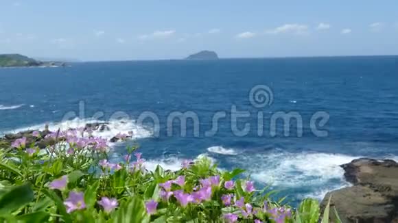 美丽的海滩深蓝的水和浅蓝的天空美丽的花朵视频的预览图