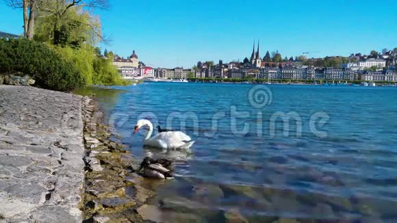 位于瑞士中部的卢塞恩湖拥有历史悠久的市中心视频的预览图