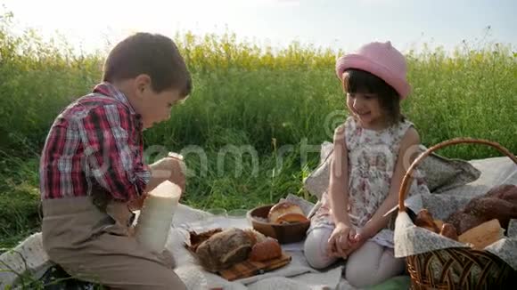 孩子们和大自然绿色草坪上的朋友野餐有食物的男孩和女孩新鲜空气中的快乐孩子男孩视频的预览图