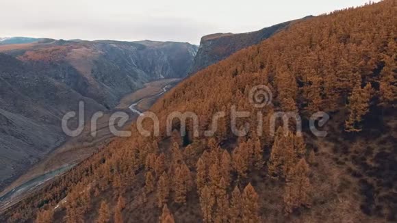 岩石土壤和一条河流沿着山谷流动美丽自然视频的预览图