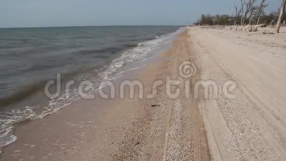 小浪淘沙沙滩视频的预览图
