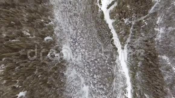 飞行上方冬季森林北部高空俯视视频的预览图
