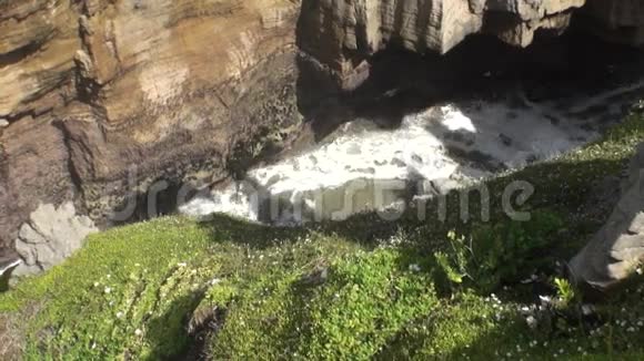新西兰多岩石海岸和山脉峡谷中的动力水视频的预览图