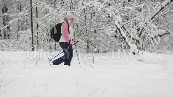 在冬季自然户外的道路上活跃的女人用滑雪杆行走北欧退休女士视频的预览图