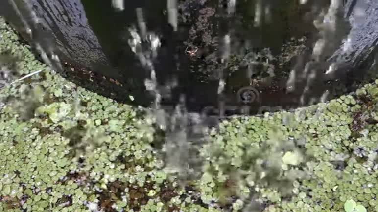 水滴到加勒比海的池塘里视频的预览图