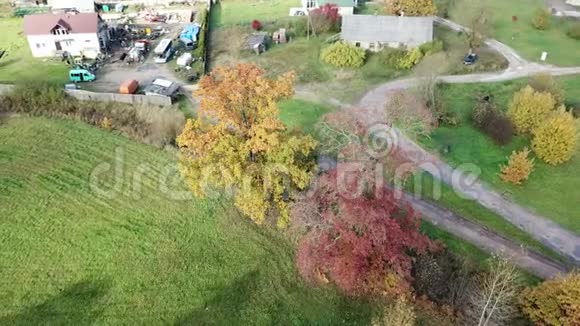 绿野橡树空中无人机顶景4K超高清视频视频的预览图