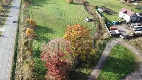 绿野橡树空中无人机顶景4K超高清视频视频的预览图
