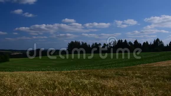 泛观欧洲景观的夏日时光麦田在黄金时刻视频的预览图