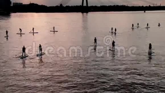 一群人在美丽的夕阳下站起桨板冲浪视频的预览图