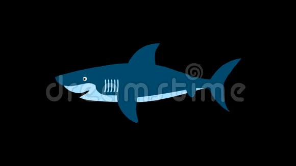 鲨鱼鱼动画旅行冒险图标线绘图动画透明矢量运动图形循环视频的预览图