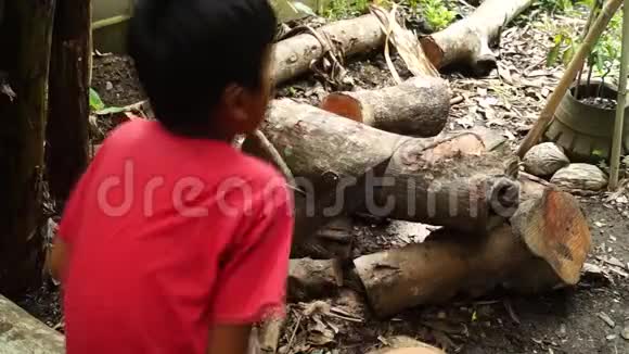 男孩在后院用日本的手锯锯木做柴火视频的预览图