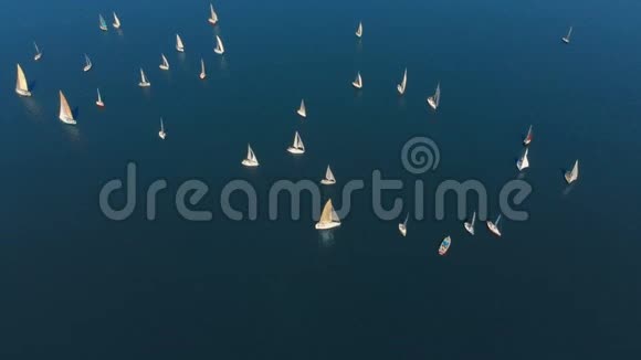 帆船比赛的空中射击区域视频的预览图