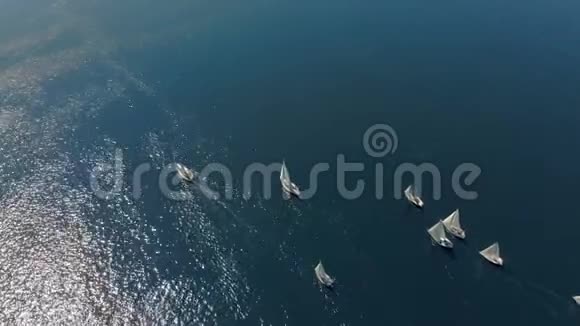 帆船比赛的空中射击区域视频的预览图