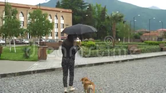 带伞的年轻女子和狗一起散步视频的预览图