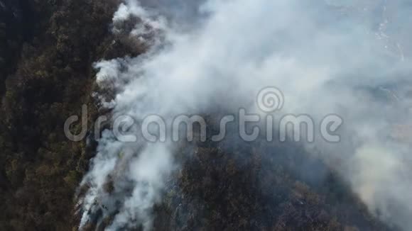 一片燃烧着浓烟的树林中移动的画面视频的预览图