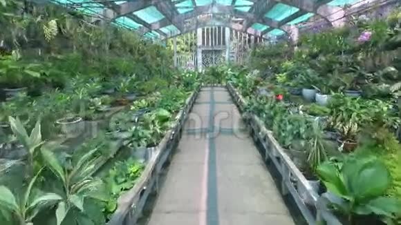 冬季花园视频的预览图