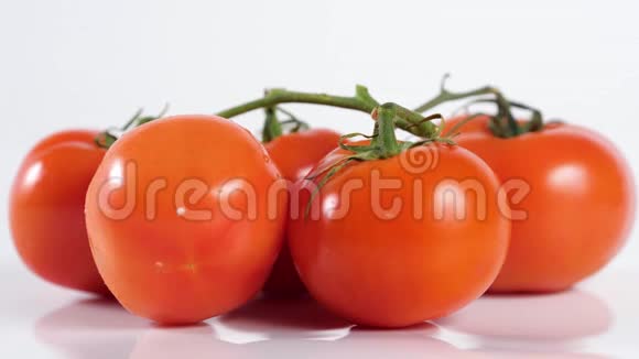 完美的新鲜红湿番茄与番茄背景超级宏观拍摄视频的预览图