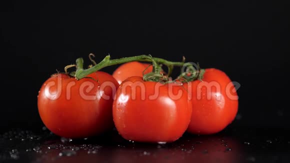 完美的新鲜红湿番茄与番茄背景超级宏观拍摄视频的预览图