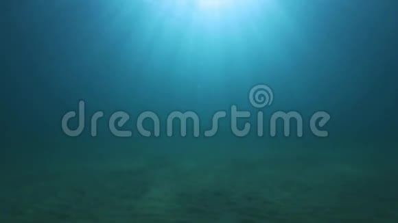 水下的太阳光视频的预览图