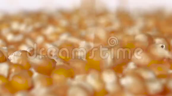 玉米粒掉落下来快关门白色的慢动作视频的预览图