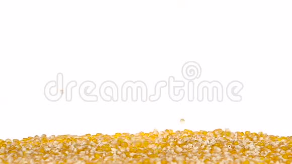 玉米粒分散在各方快关门白色的慢动作视频的预览图