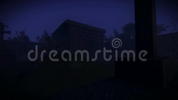 墓地录像里的鬼魂视频的预览图