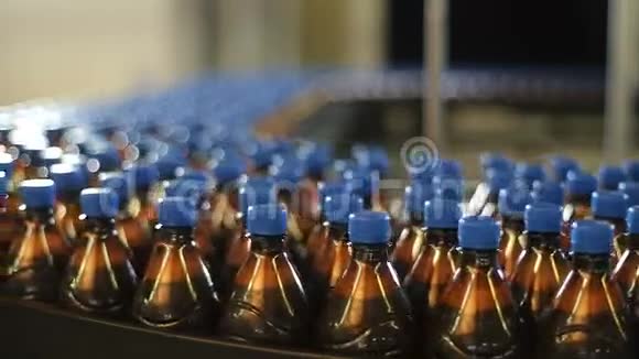 传送带工厂的塑料瓶啤酒视频的预览图