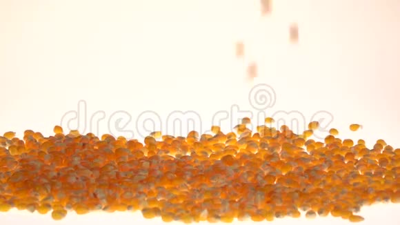 玉米粒壳掉落形成一堆慢动作白色的关门视频的预览图