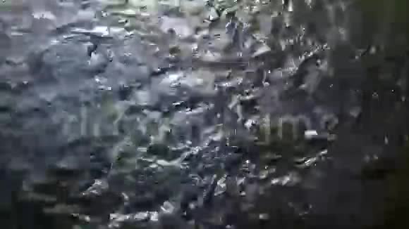 许多鱼溅在水里视频的预览图
